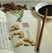 聯(lián)系我們